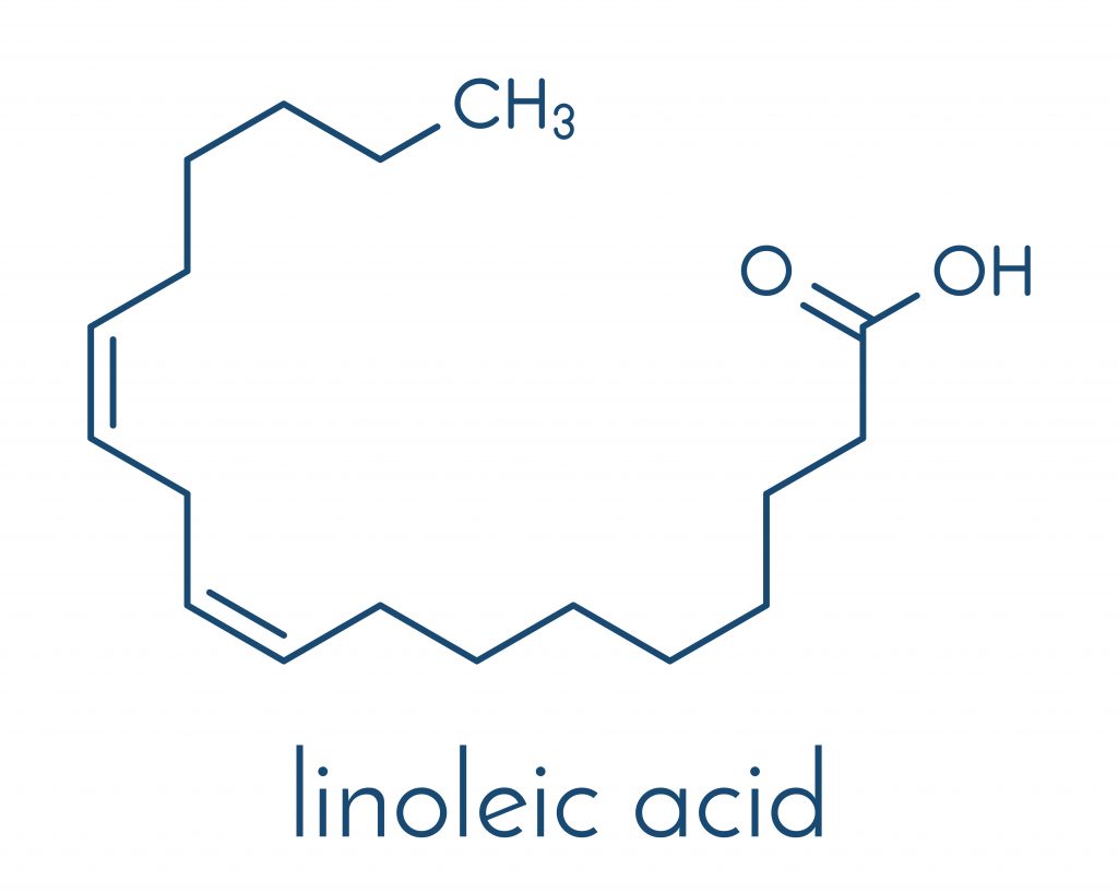 Wzór kwasu linolowego - podstawowego kwasu omega-6