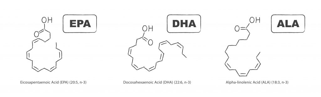 Kluczowe kwasy typu Omega 3 - EPA, DHA i ALA