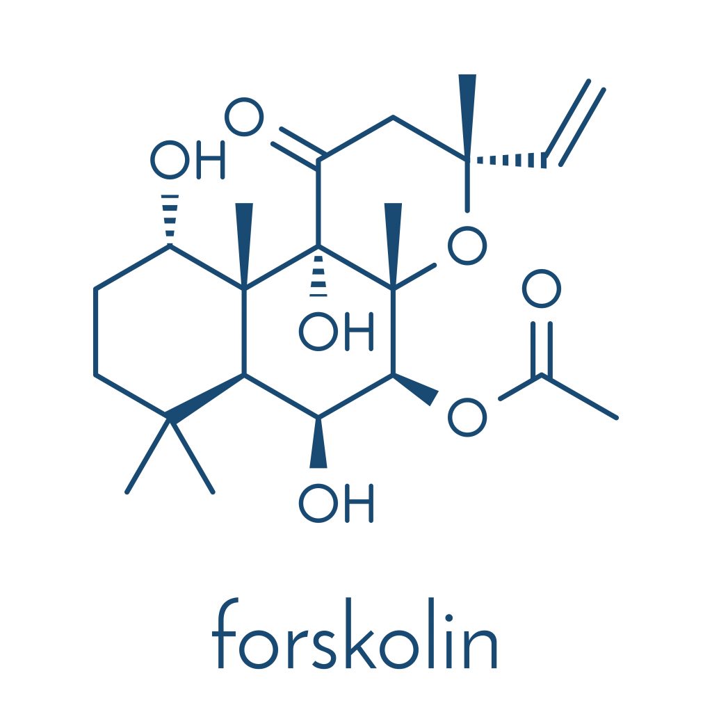 Wzór strukturalny forskoliny