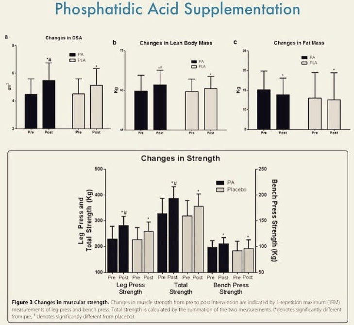Wpływ suplementacji kwasu fosfatydowego na zmiany w masie ciała, zarówno tłuszczowej jak i beztłuszczowej, oraz jego wpływ na siłę