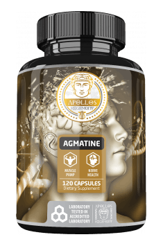 Apollo's Hegemony Agmatine 500 mg 120 kaps.