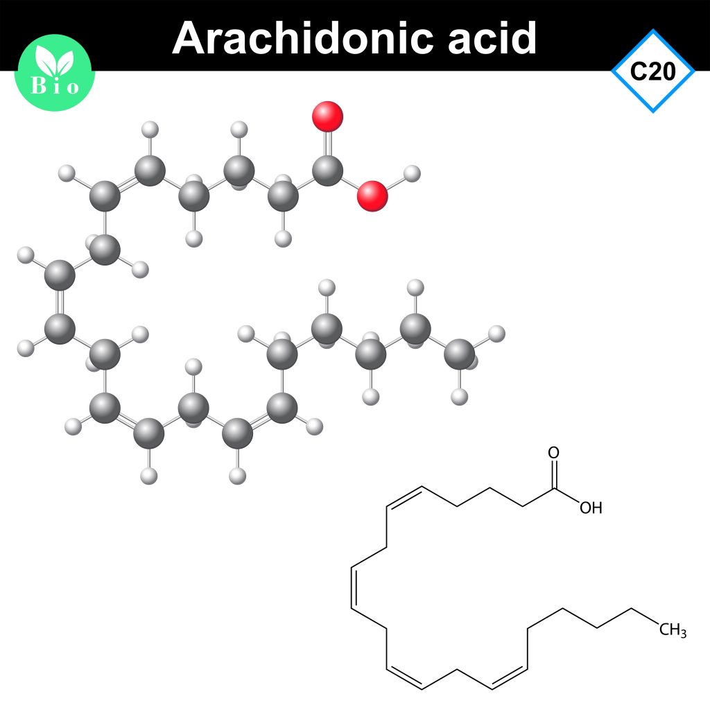 Kwas arachidonowy - wielonienasycony kwas tłuszczowy - widzimy wiele wiązań wielokrotnych między atomami węgla