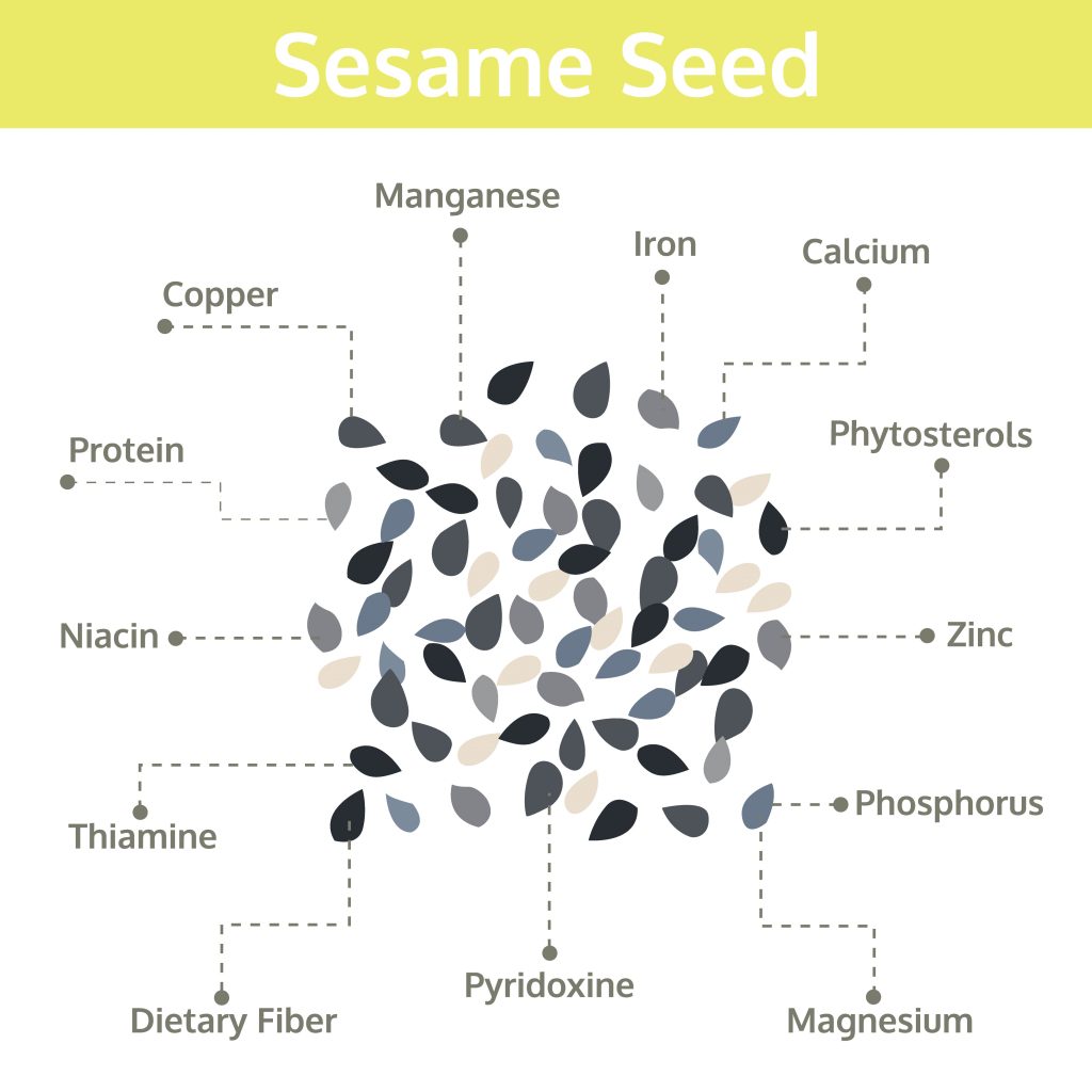 Jakie składniki odżywcze znajdziemy w sezamie?