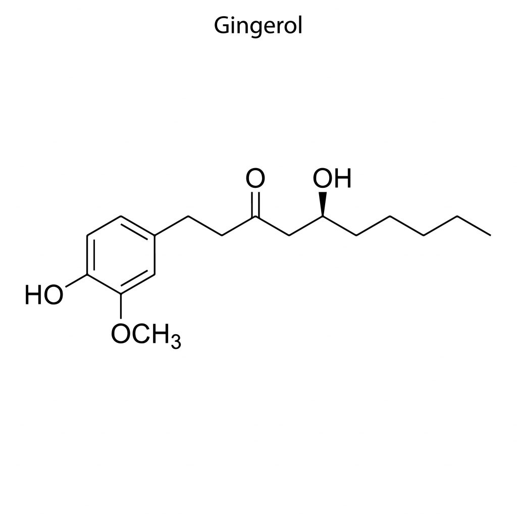 Gingerol - najważniejszy środek bioaktywny znajdujący się w imbirze