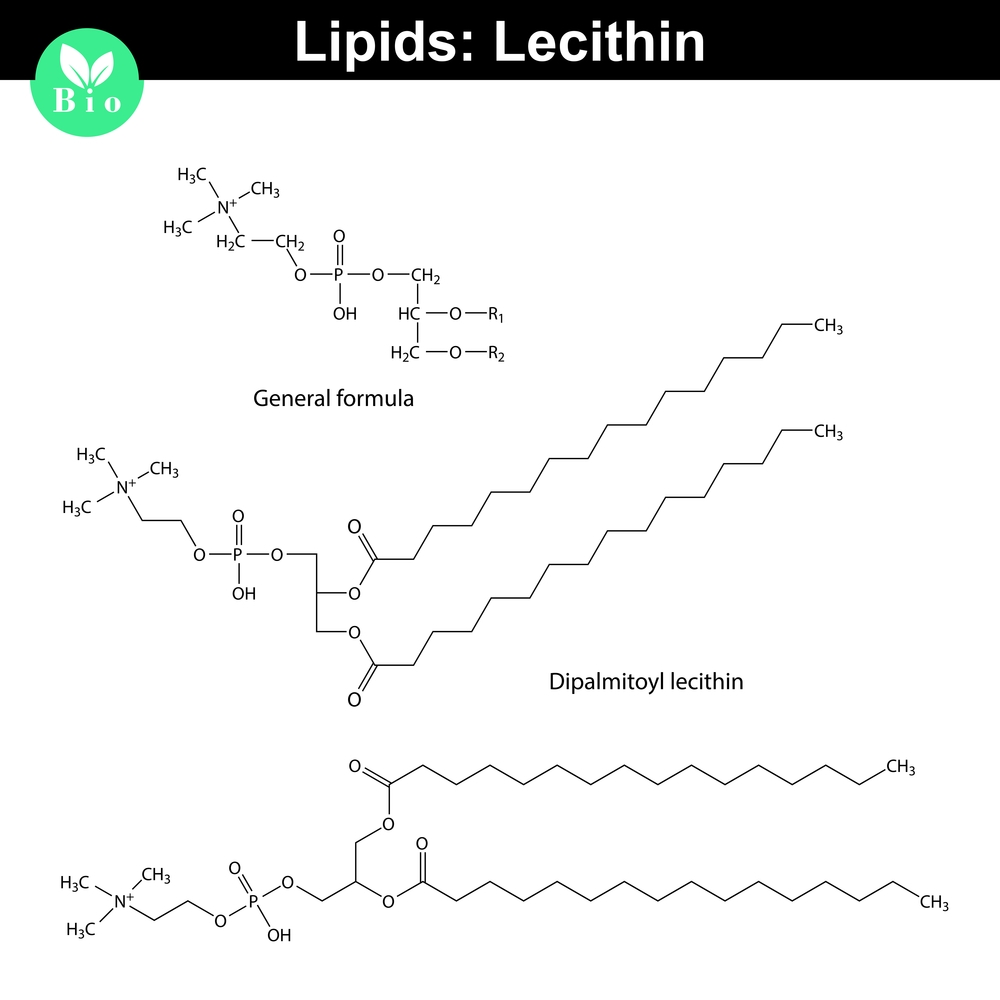 Wzór strukturalny lecytyny