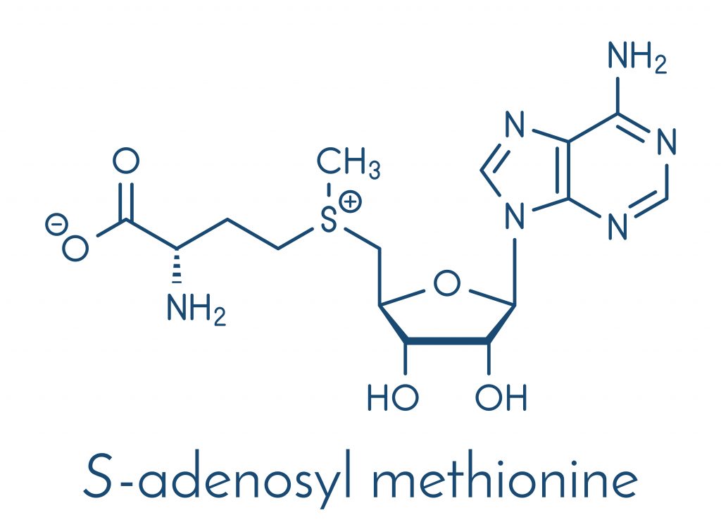 Wzór strutkuralny SAMe (S-adenozylometioniny)