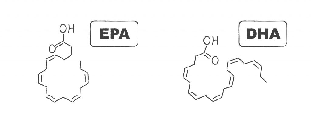 Kluczowe kwasy Omega 3 - EPA i DHA