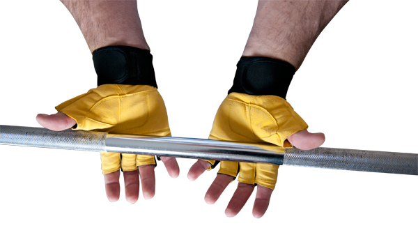 Image result for Olimp Accessories Hardcore Raptor, Training Gloves